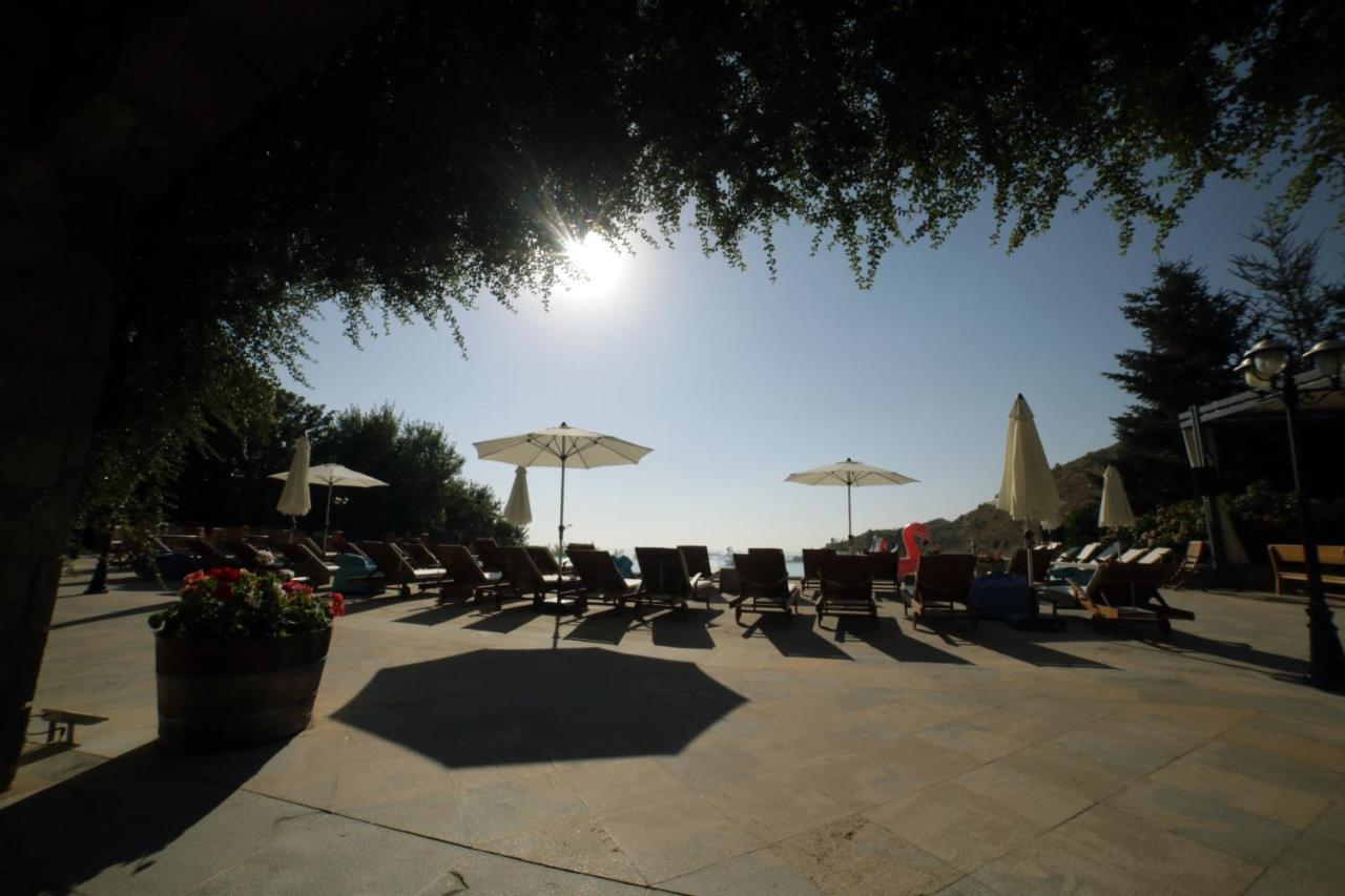 Terre Brune Hotel Mzaar Kfardebian Bagian luar foto